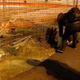 Ogni sera alle 19 arriva poi Daniela, 43enne  �gattara� che oltre ad essersi occupata delle loro cure veterinarie, porta regolarmente la cena...